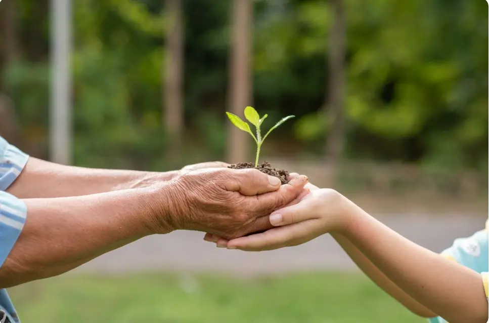 Paragraph Tree Plantation of 200 Words for SSC & HSC